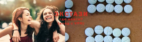 индика Протвино