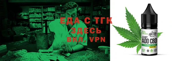 индика Протвино