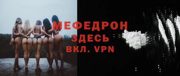 индика Протвино