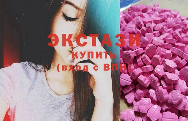 индика Протвино