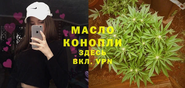 индика Протвино