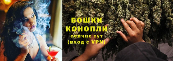 индика Протвино