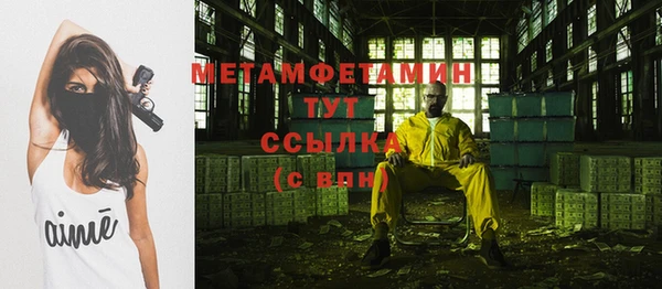 индика Протвино