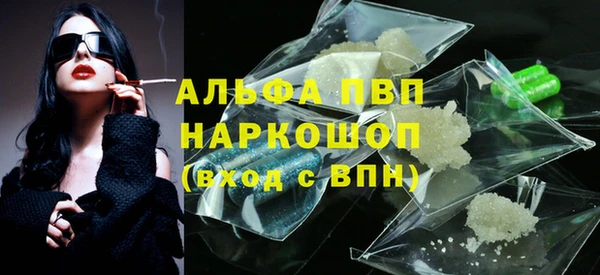 индика Протвино