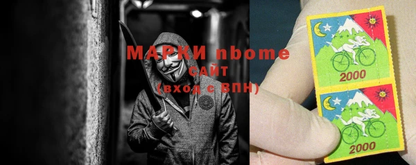 индика Протвино