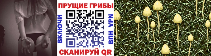 Купить  Саки  Галлюциногенные грибы мицелий 