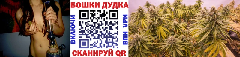 Бошки Шишки конопля  Купить  Саки 